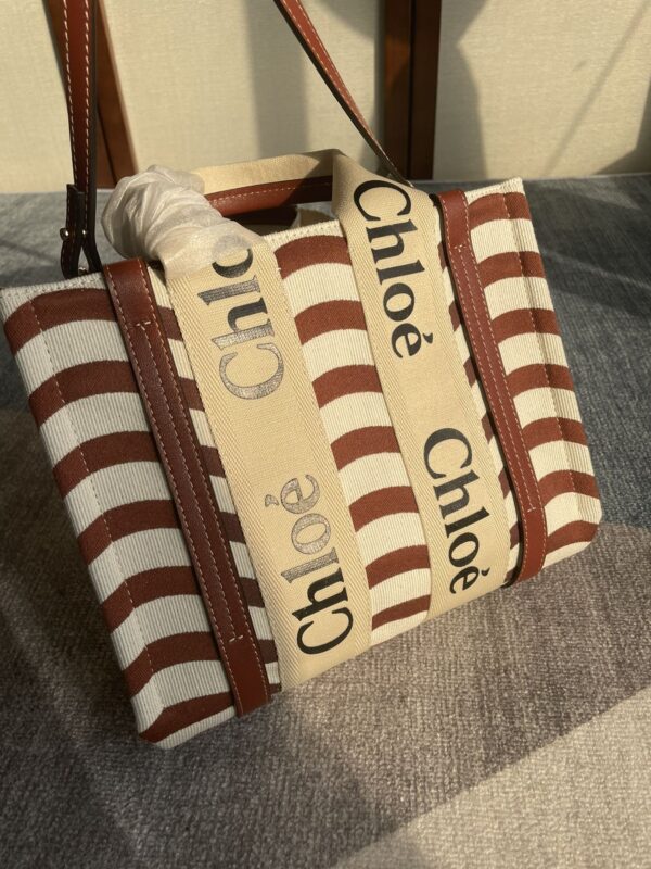 Chloe Woody’s Latest Autumn And Winter Small Tote Bag - Image 4